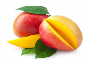 Mango de avión